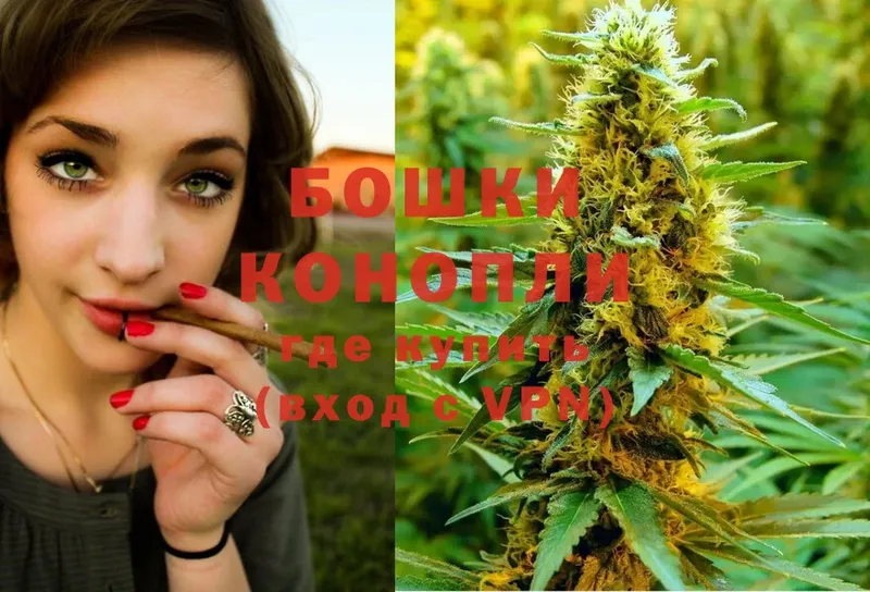 Бошки Шишки White Widow  Каргополь 